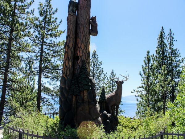 Lake Tahoe North Shore Home 1025274