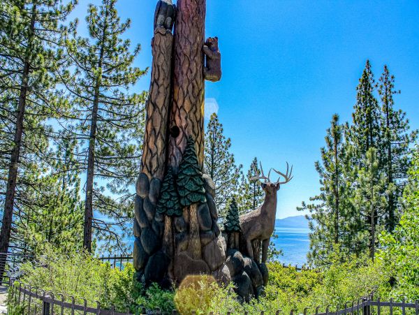 Lake Tahoe North Shore Home 1025275