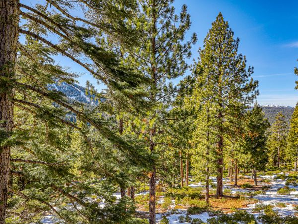Lake Tahoe North Shore Home 1025280