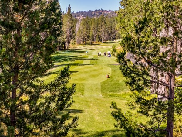 Lake Tahoe North Shore Home 1025299