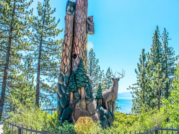 Lake Tahoe North Shore Home 1025300