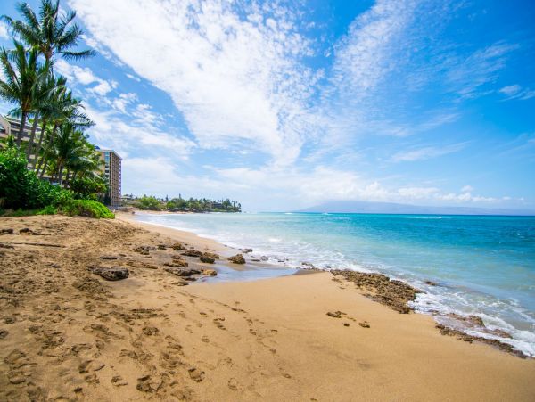 Oceanfront Kaanapali Vacation Condo One Bedroom