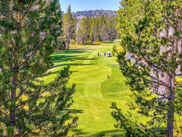 Lake Tahoe North Shore Home 1025307