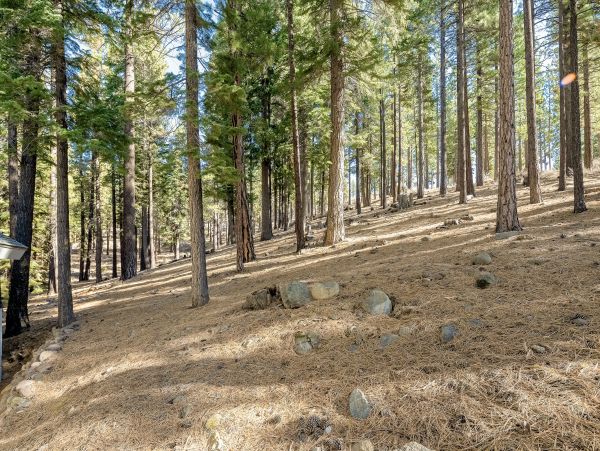 Lake Tahoe North Shore Home 1025321