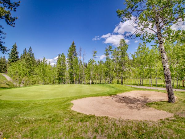 Lake Tahoe North Shore Home 1025333