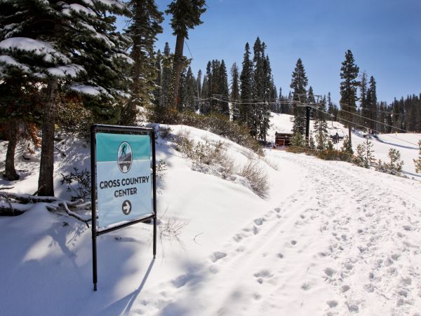 Lake Tahoe North Shore Home 1025338