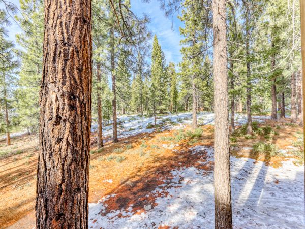 Lake Tahoe North Shore Home 1025347