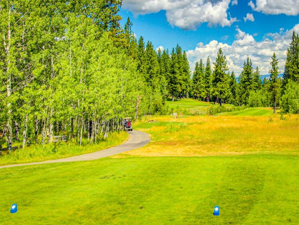 Lake Tahoe North Shore Home 1025353