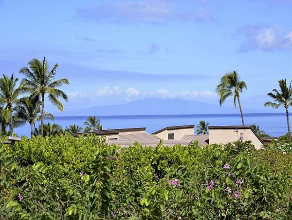 Kihei Home 1025363