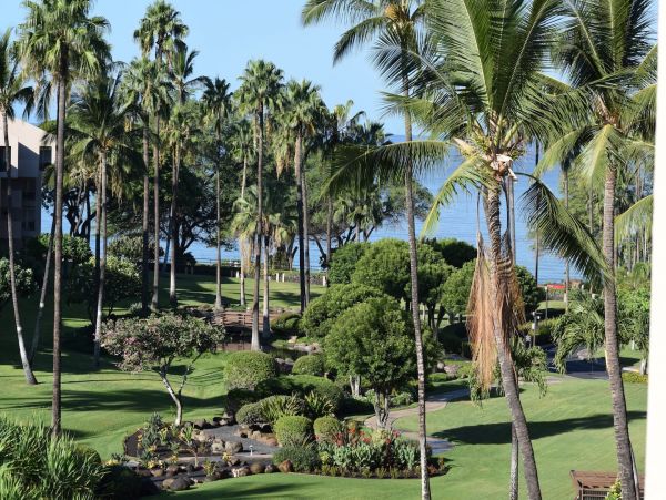 Wailea Home 1025365