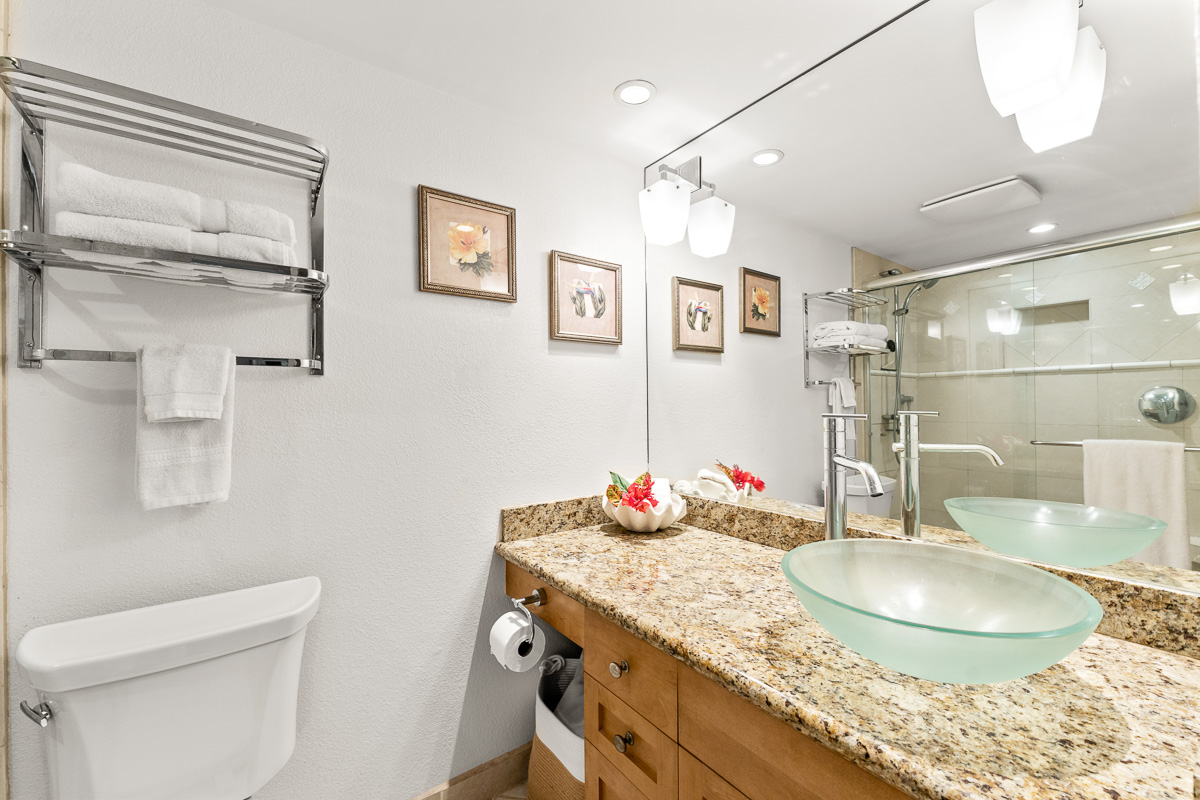Wailea Home 1025367