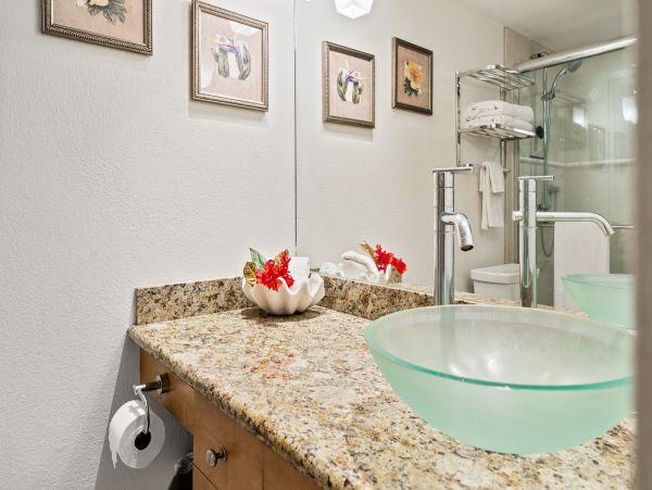 Wailea Home 1025367