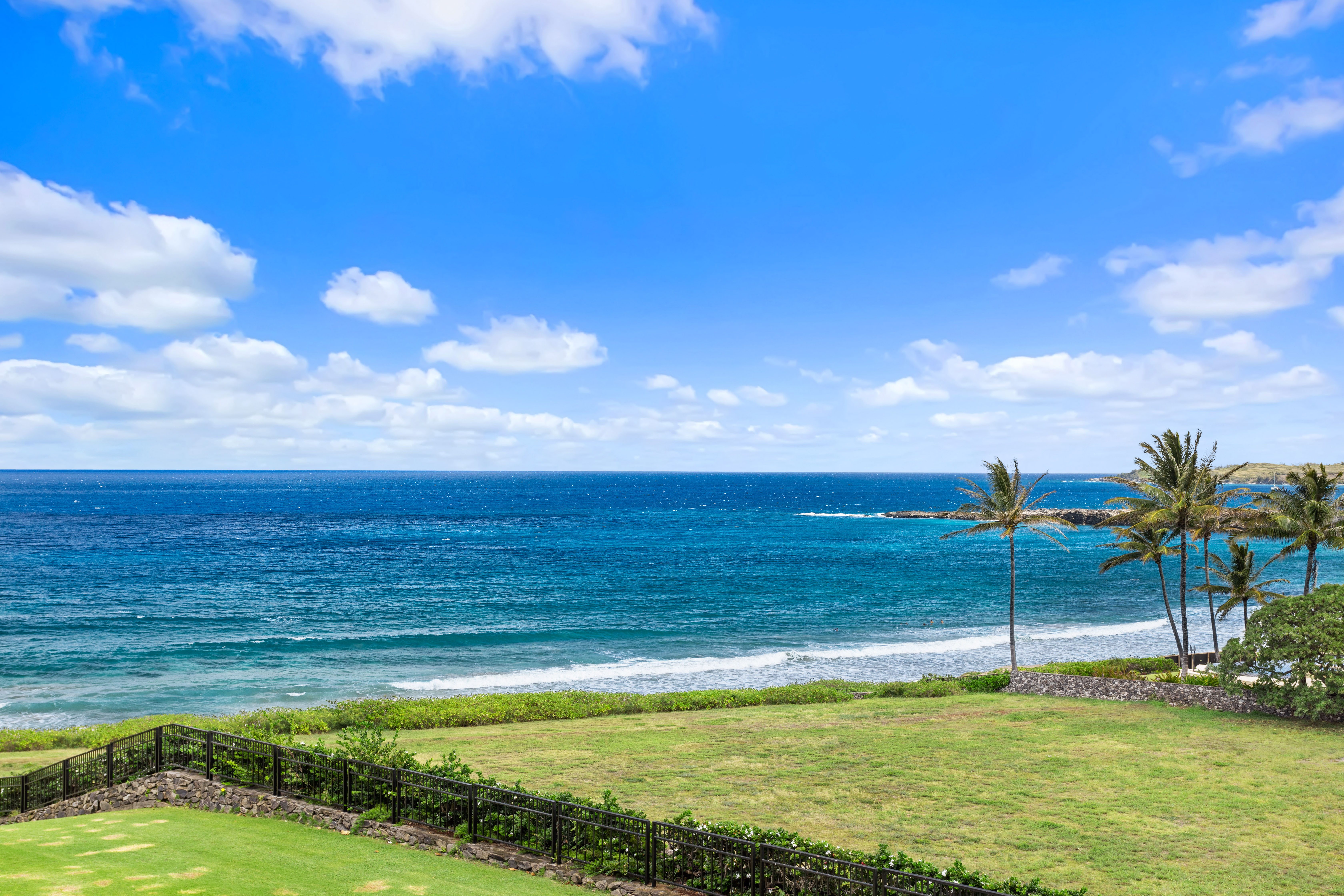 Ocean View Kapalua