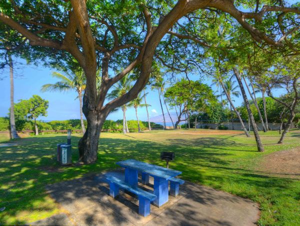 Kihei Home 1025371