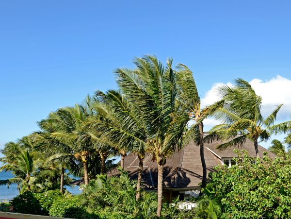 Kihei Home 1025373