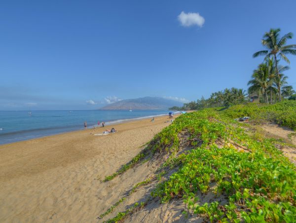 Kihei Home 1025377