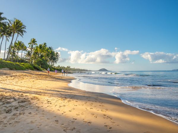 Kihei Home 1025378