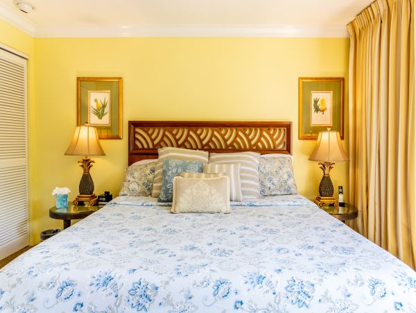 Wailea Home 1025379