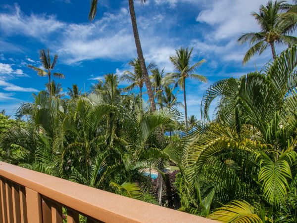 Wailea Home 1025379