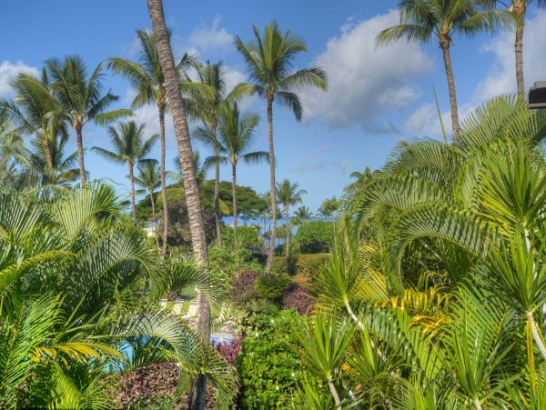 Wailea Home 1025379
