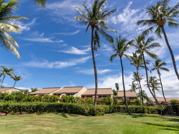 Wailea Home 1025379