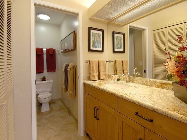 Wailea Home 1025380