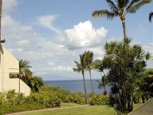 Wailea Home 1025380