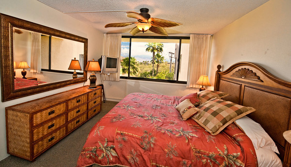 Wailea Home 1025381