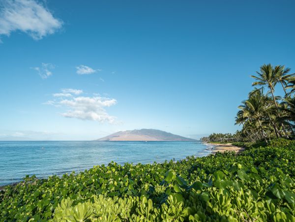 Kihei Home 1025382