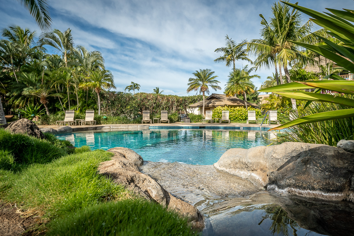Wailea Home 1025384