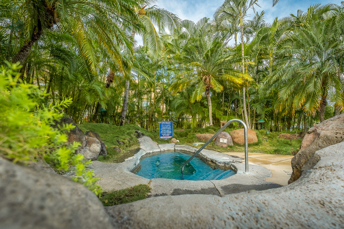 Wailea Home 1025384