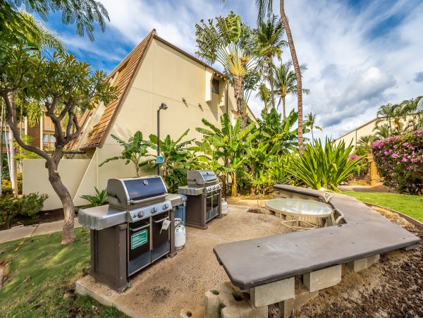Wailea Home 1025384