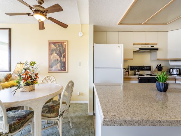 Wailea Home 1025385