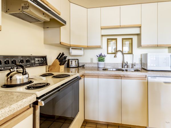 Wailea Home 1025385