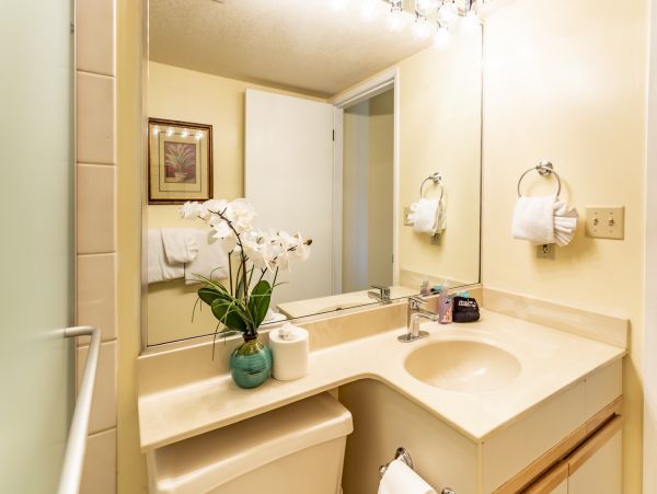 Wailea Home 1025385