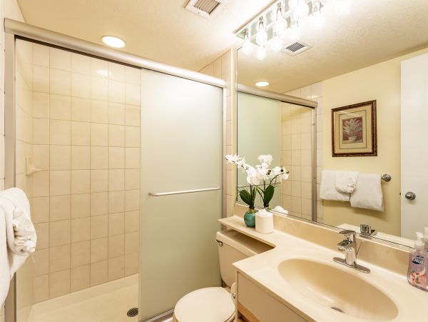 Wailea Home 1025385