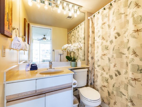 Wailea Home 1025385