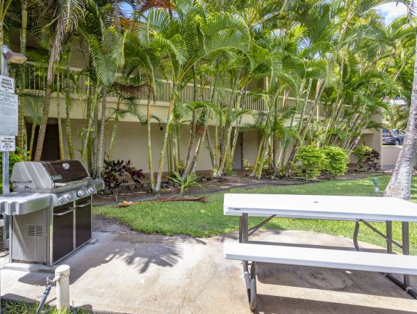 Wailea Home 1025385