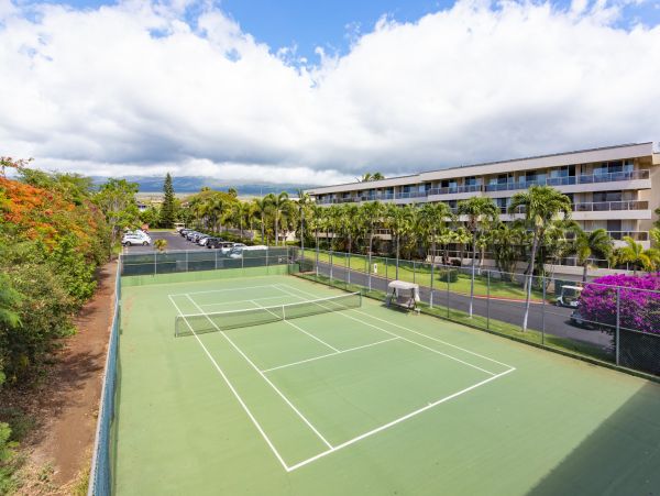 Wailea Home 1025385