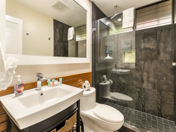 Wailea Home 1025391