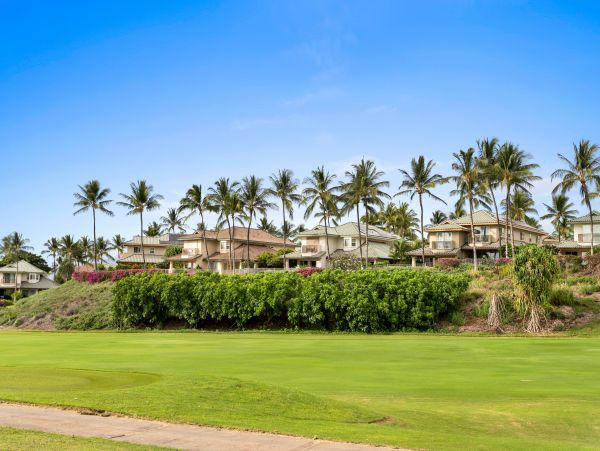 Wailea Home 1025391