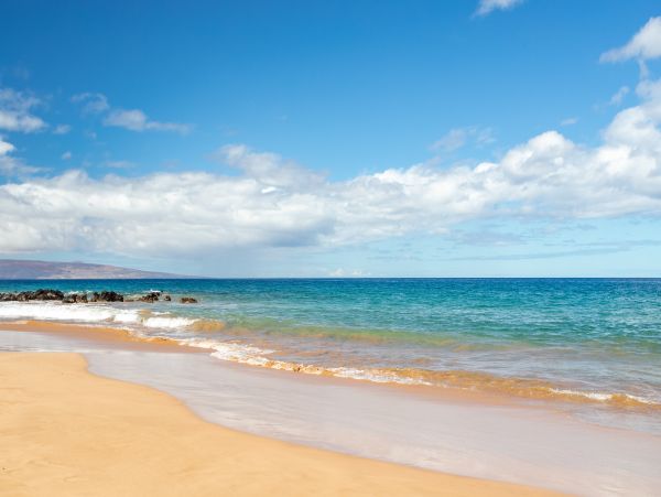 Wailea Home 1025391