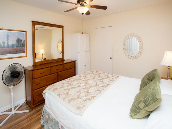 Wailea Home 1025393