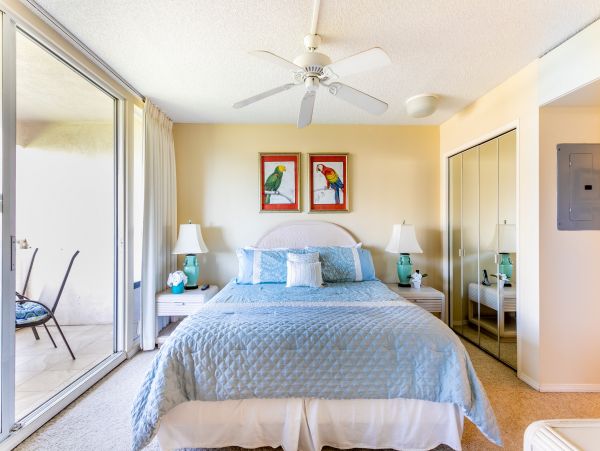 Wailea Home 1025394