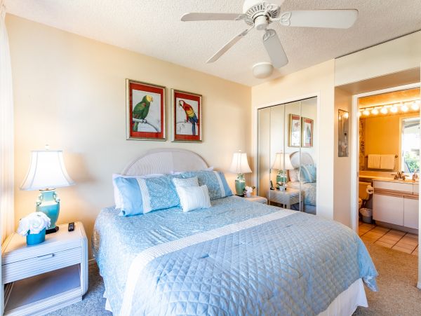Wailea Home 1025394