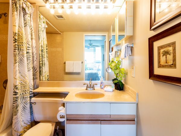 Wailea Home 1025394