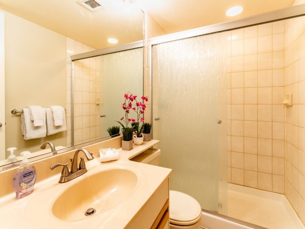 Wailea Home 1025394
