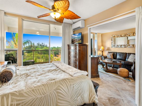 Wailea Home 1025395