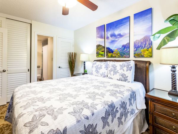 Wailea Home 1025397
