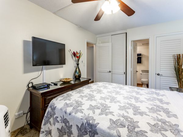 Wailea Home 1025397